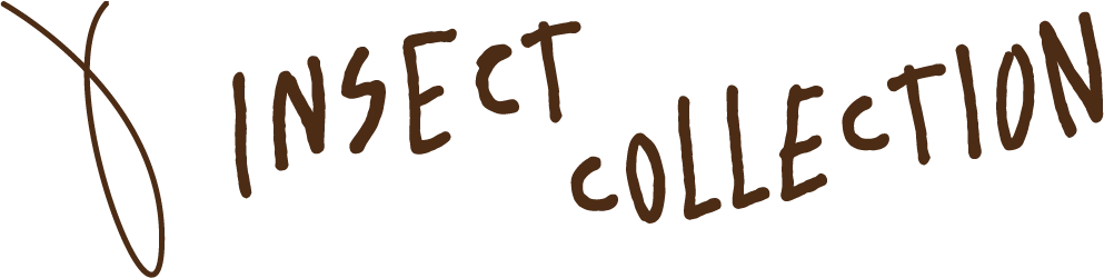 Insect Collection インセクトコレクション