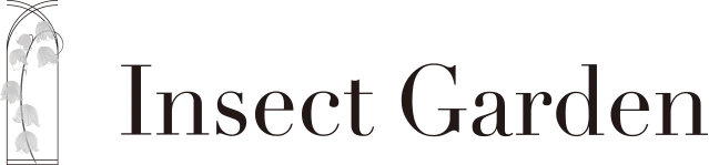 Insect Garden インセクトガーデン