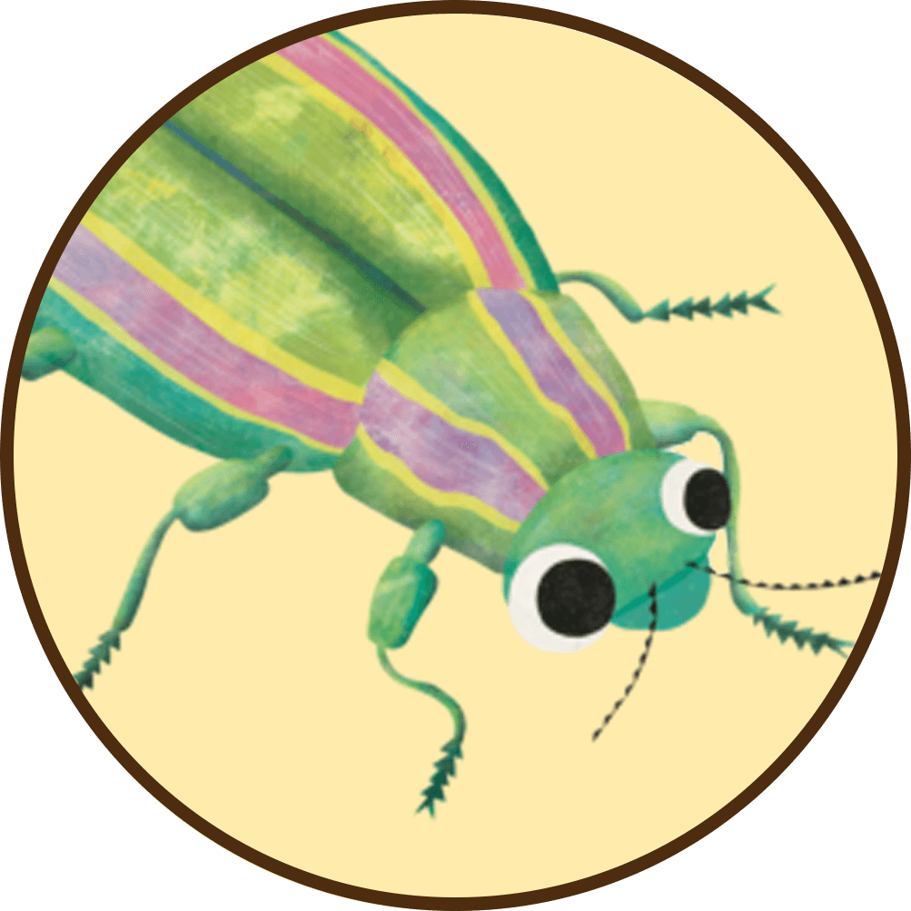 jewel-beetle.png