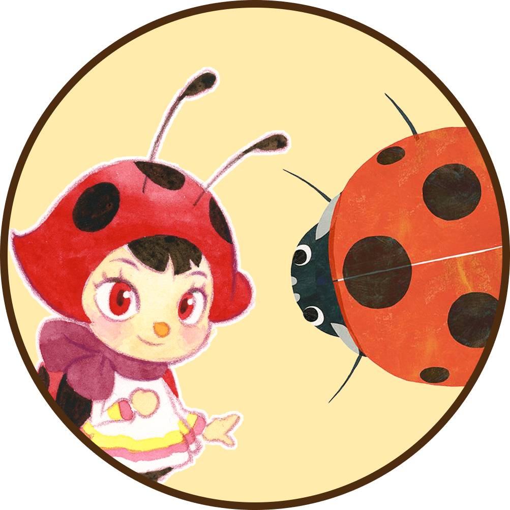 てんとうむし ladybug - INSECT MARKET MEDIA